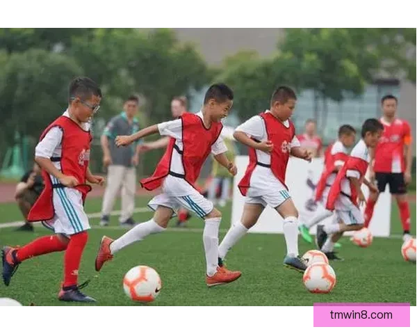 只要成绩思维下巴雷西直指中国足球重金投入却忽视基层青训根基础